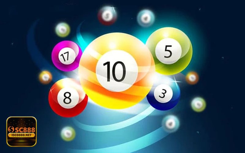Đầu Lô Câm - Ưu điểm khi nuôi khung 3–5 ngày Đầu Lô Câm - Ưu điểm khi nuôi khung 3–5 ngày